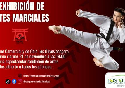 EXHIBICION DE ARTES MARCIALES LOS OLIVOS